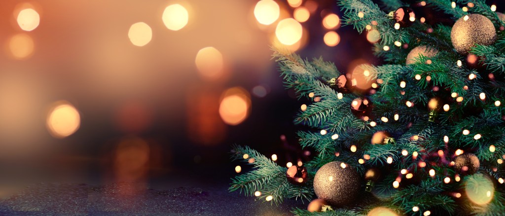 Tis the season to slow down and let your hair&nbsp;down.