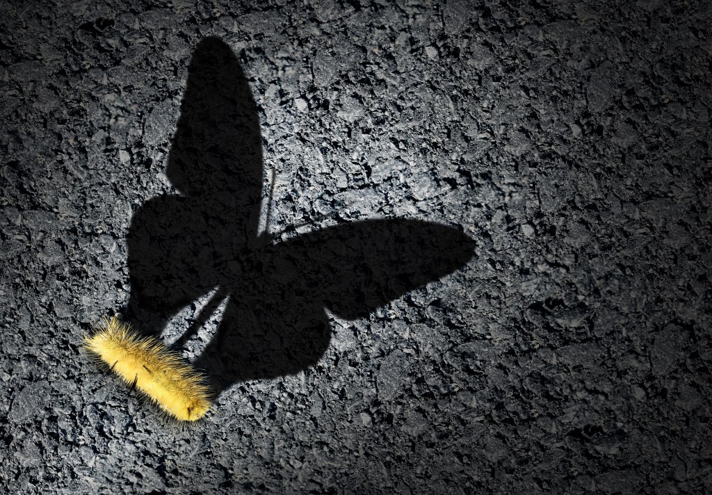 Growth is uncomfortable – but it is&nbsp;necessary!